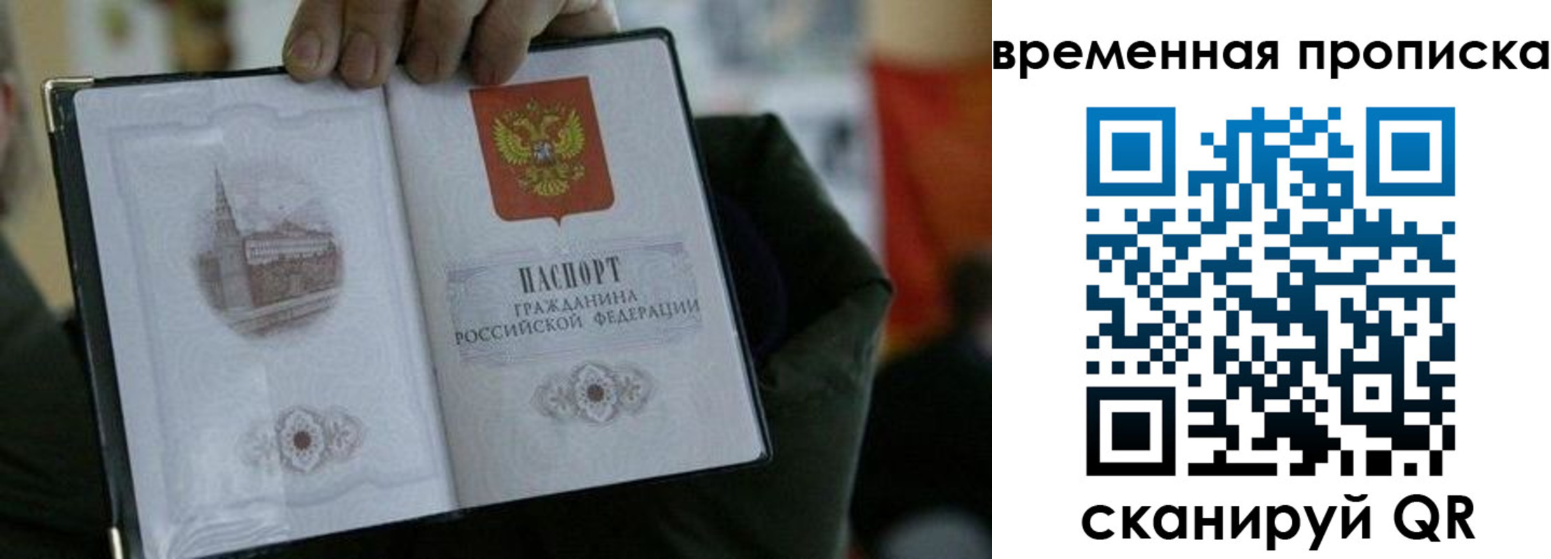 найти адрес прописки в Вязьме